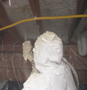 Roseville CA crawl space insulation