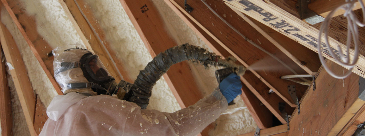 Roseville California Attic Insulation Spray Foam